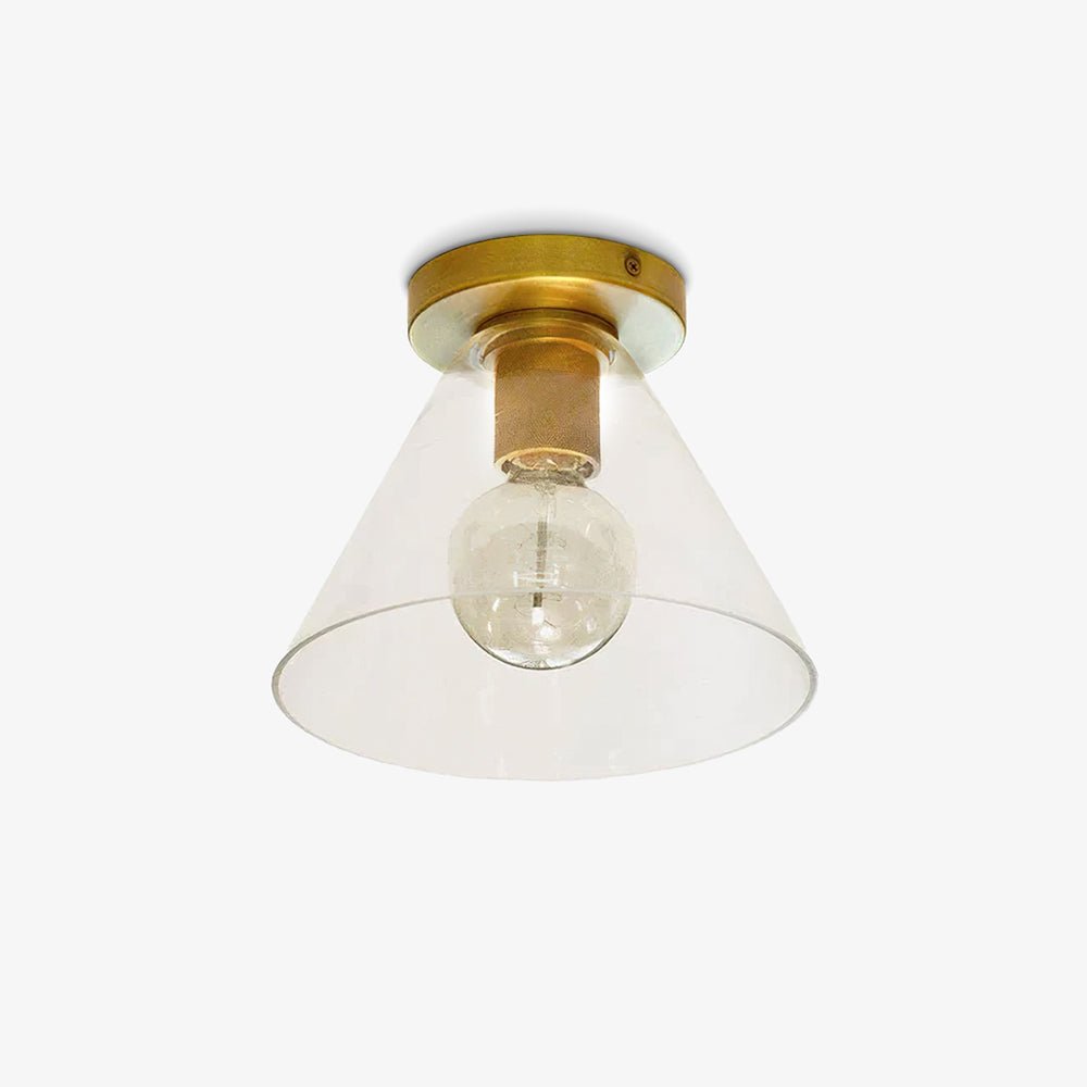 Clear Glass Ceiling Light with Metal Fitting