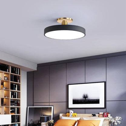 Modern LED Flush Mount Ceiling Light