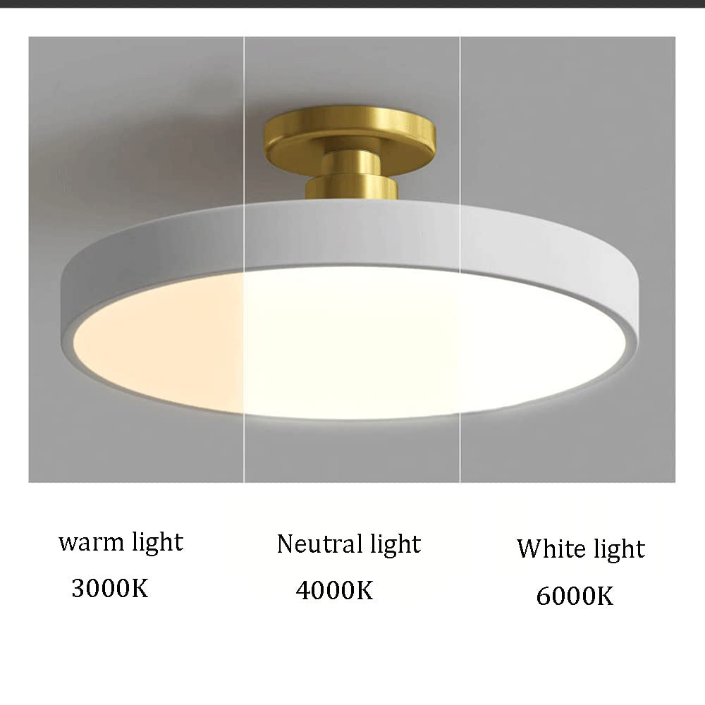Modern LED Flush Mount Ceiling Light