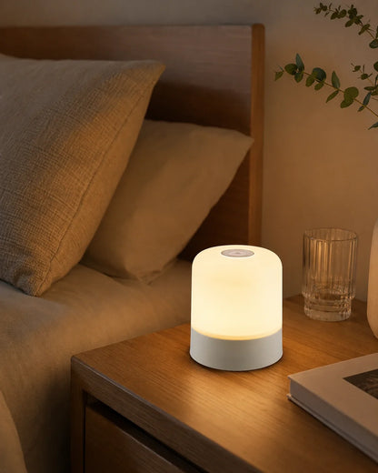 Portable Touch-Dimming LED Table Lamp