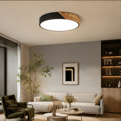 Modern Ultra-Thin LED Ceiling Light