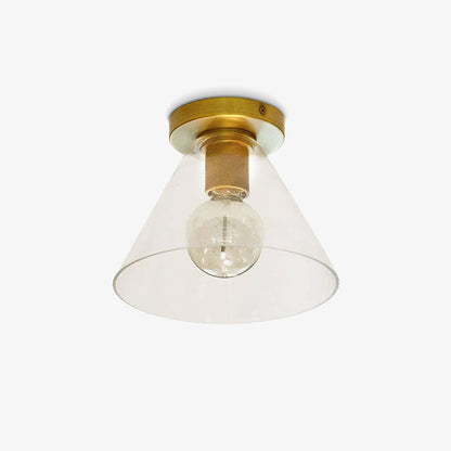 Clear Glass Ceiling Light with Metal Fitting