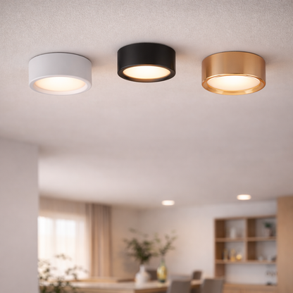 Compact Iron LED Flush Mount Ceiling Light