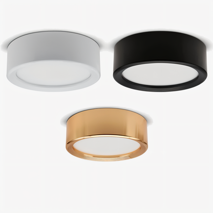 Compact Iron LED Flush Mount Ceiling Light