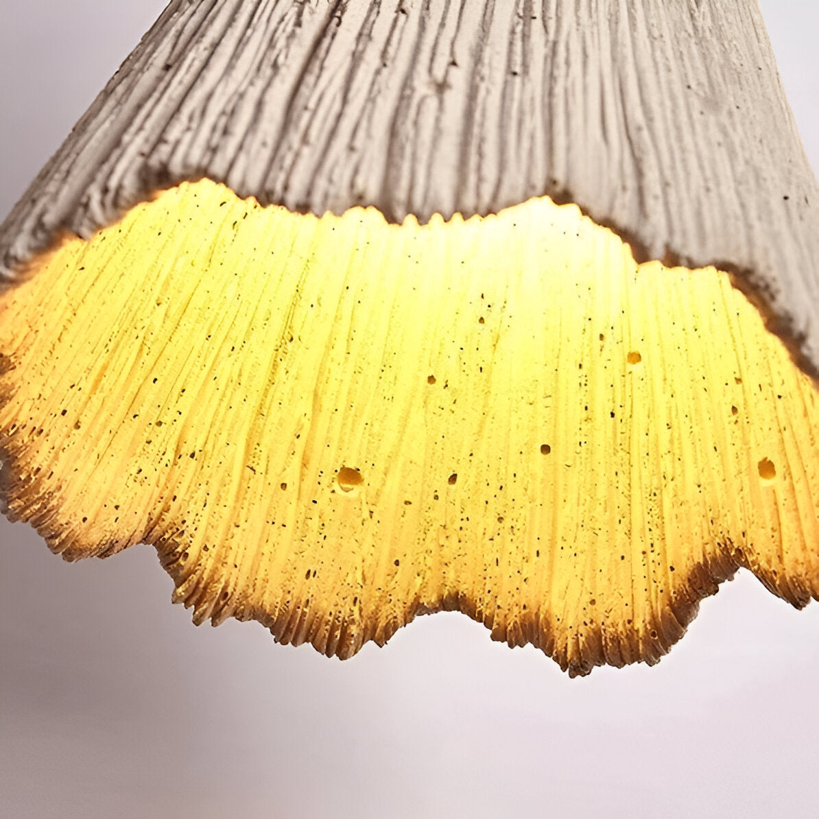 Close view of illuminated cream scalloped edge