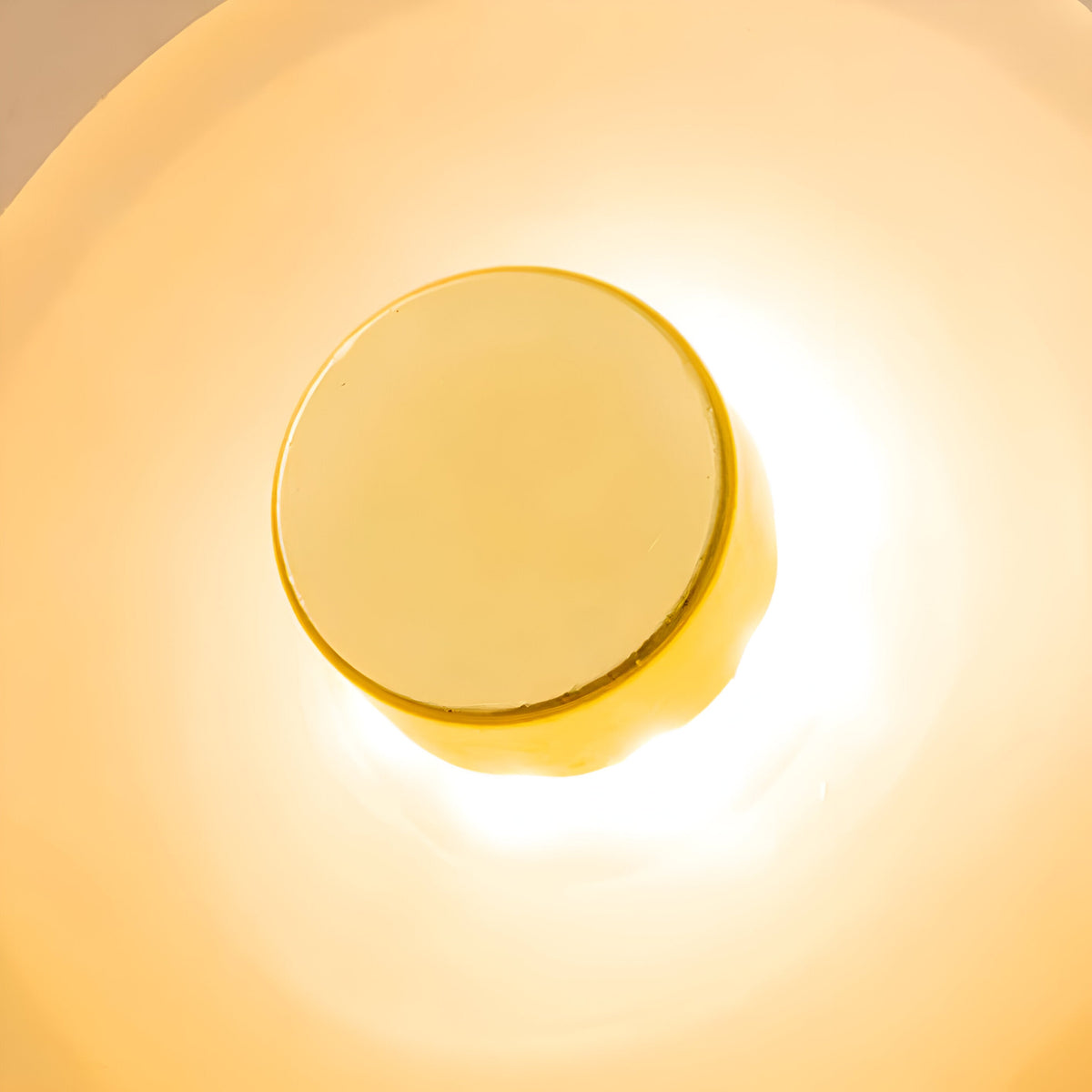 Curved Glass Wall Light with Sculpted Petal Shade