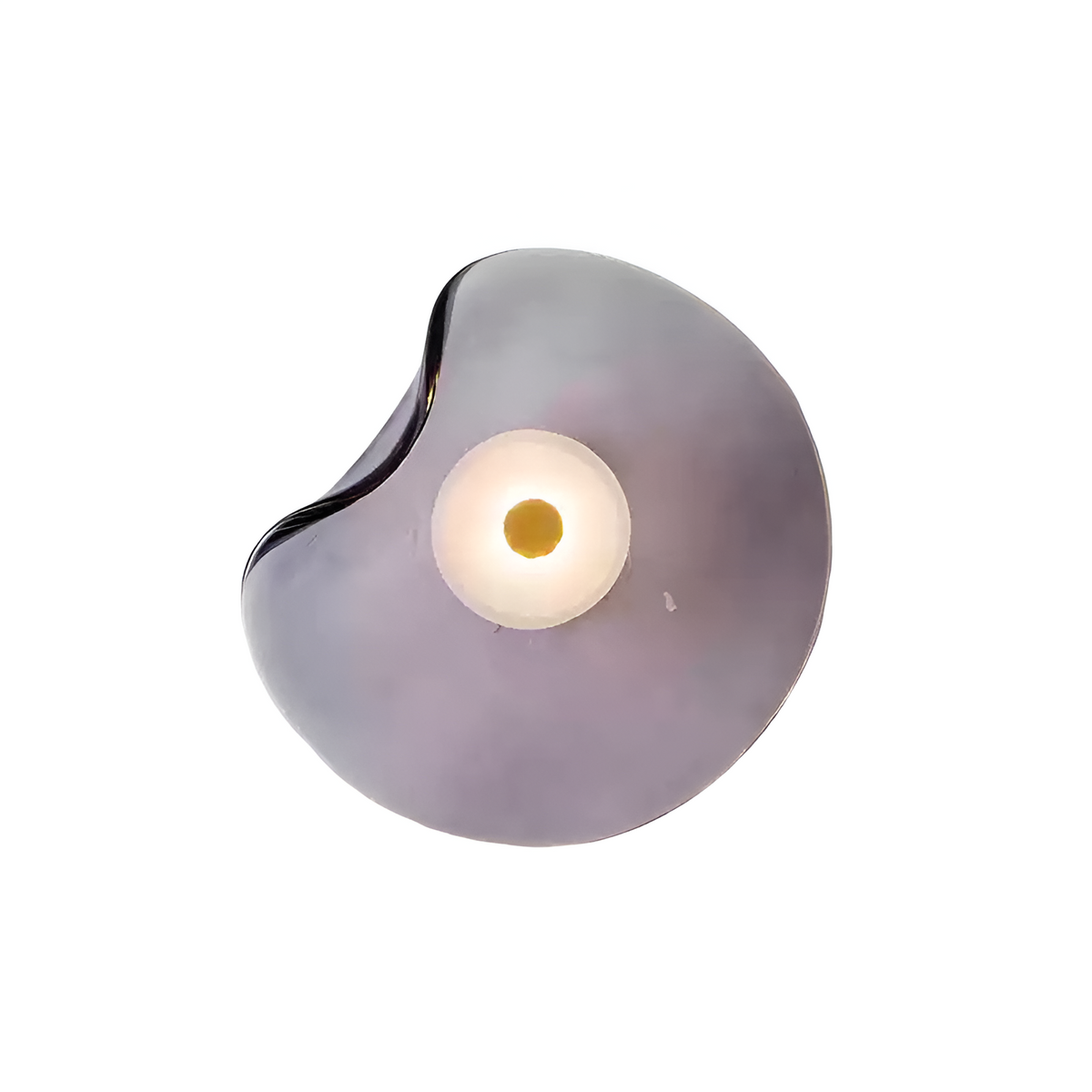 Curved Glass Wall Light with Sculpted Petal Shade