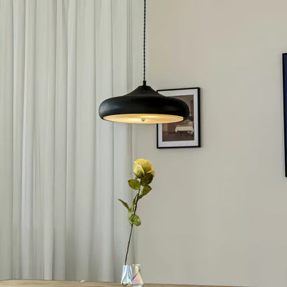 Illuminated shallow iron pendant near a window
