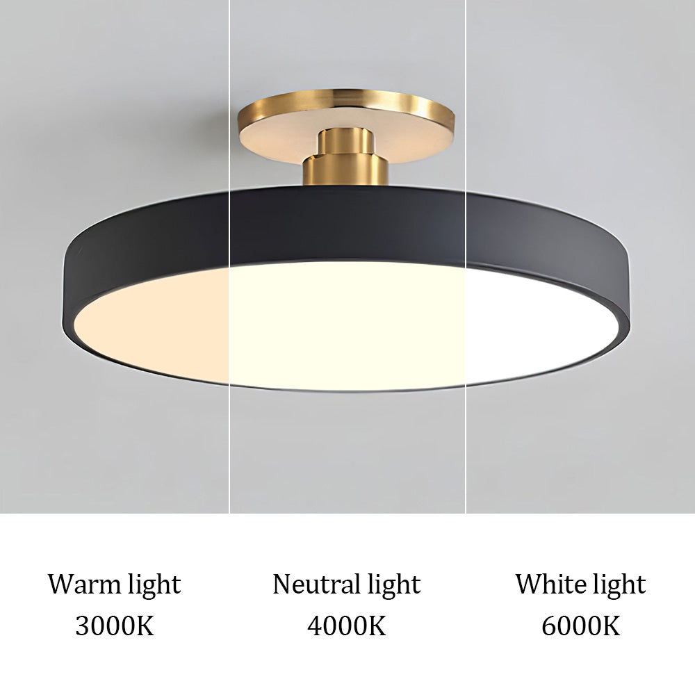 Modern LED Flush Mount Ceiling Light