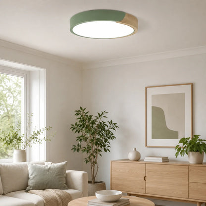 Modern Ultra-Thin LED Ceiling Light