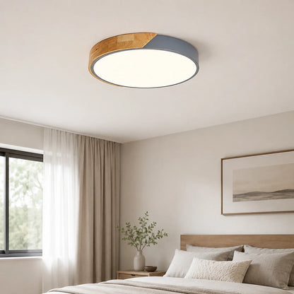 Modern Ultra-Thin LED Ceiling Light