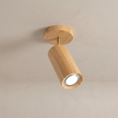 Single-head log-style ceiling spotlight with adjustable head