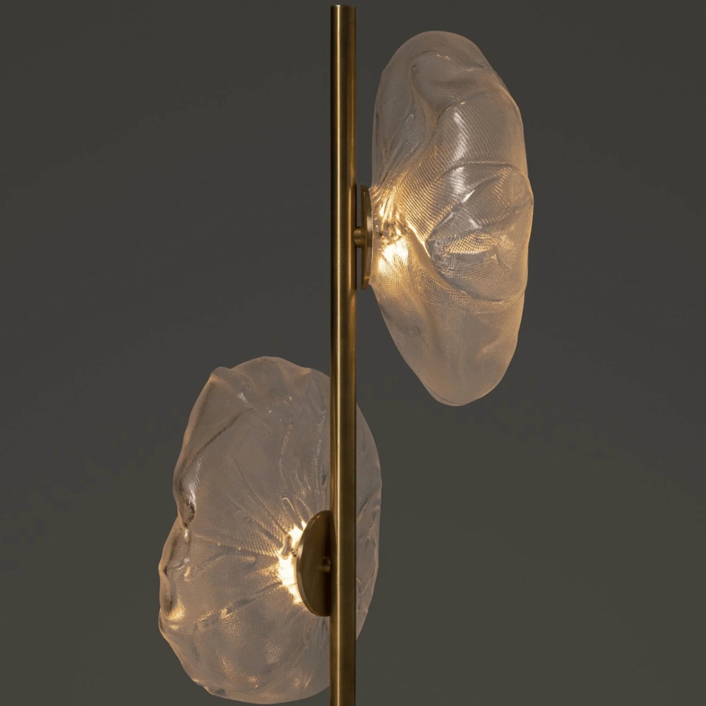 Close-up of a modern glass LED floor lamp featuring two illuminated, textured organic glass shades on a brass-coloured metal stem.