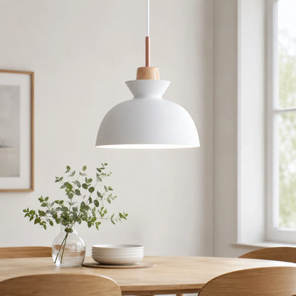 Modern Wood and Iron Pendant Light