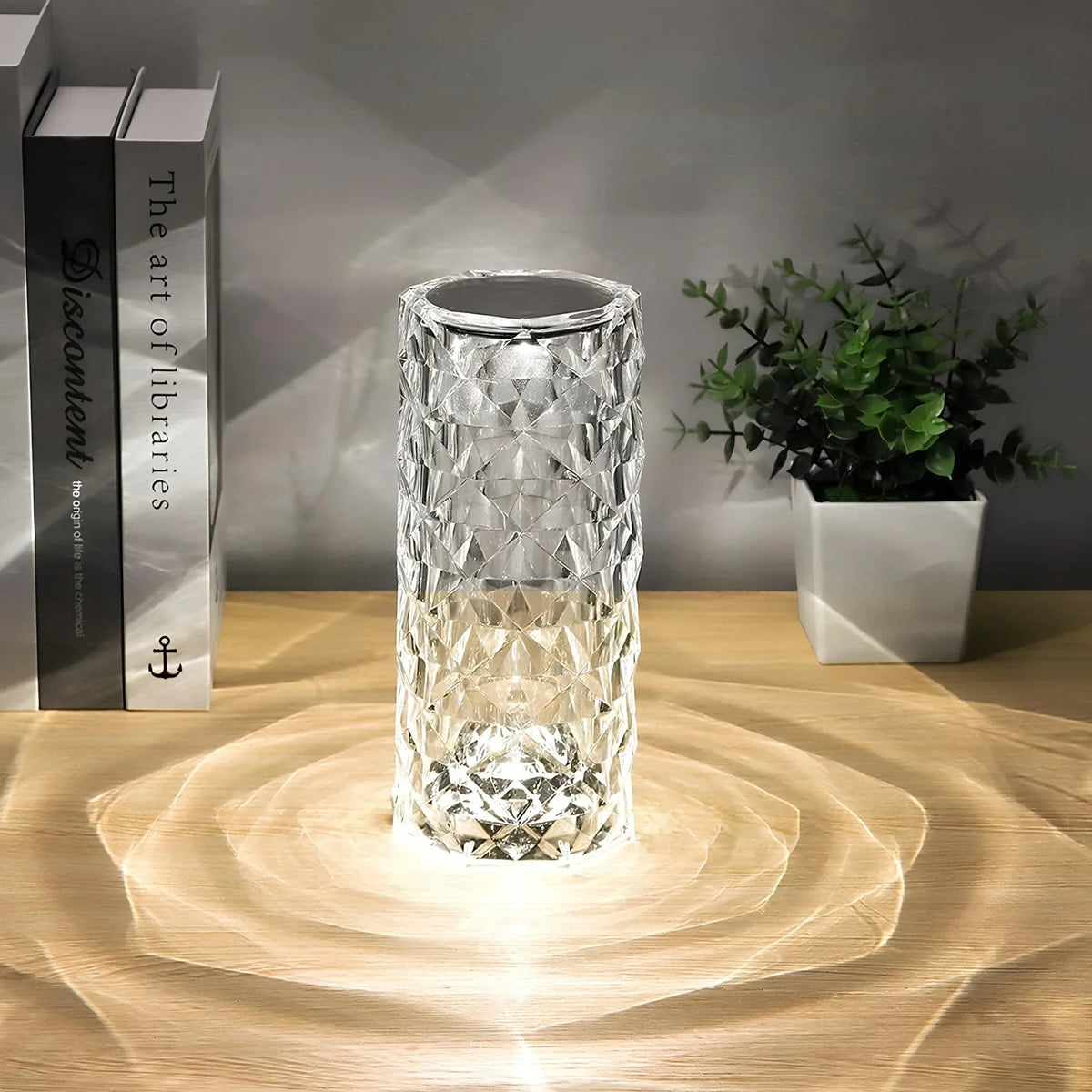 Clear faceted cylinder lamp beside books and plants
