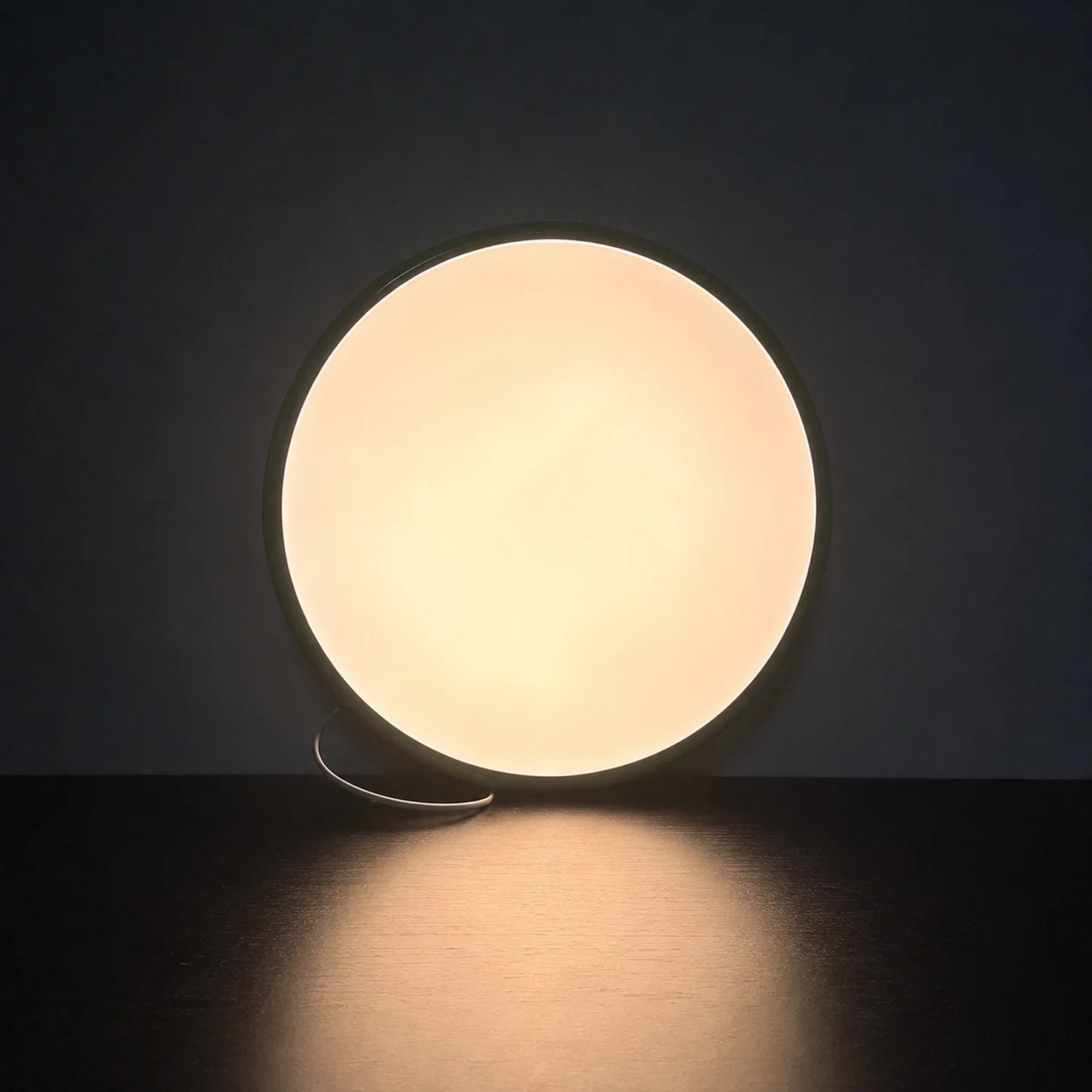 Modern Dimmable LED Ceiling Light