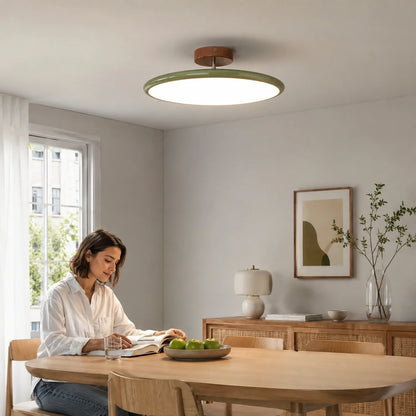 Modern Dimmable LED Ceiling Light