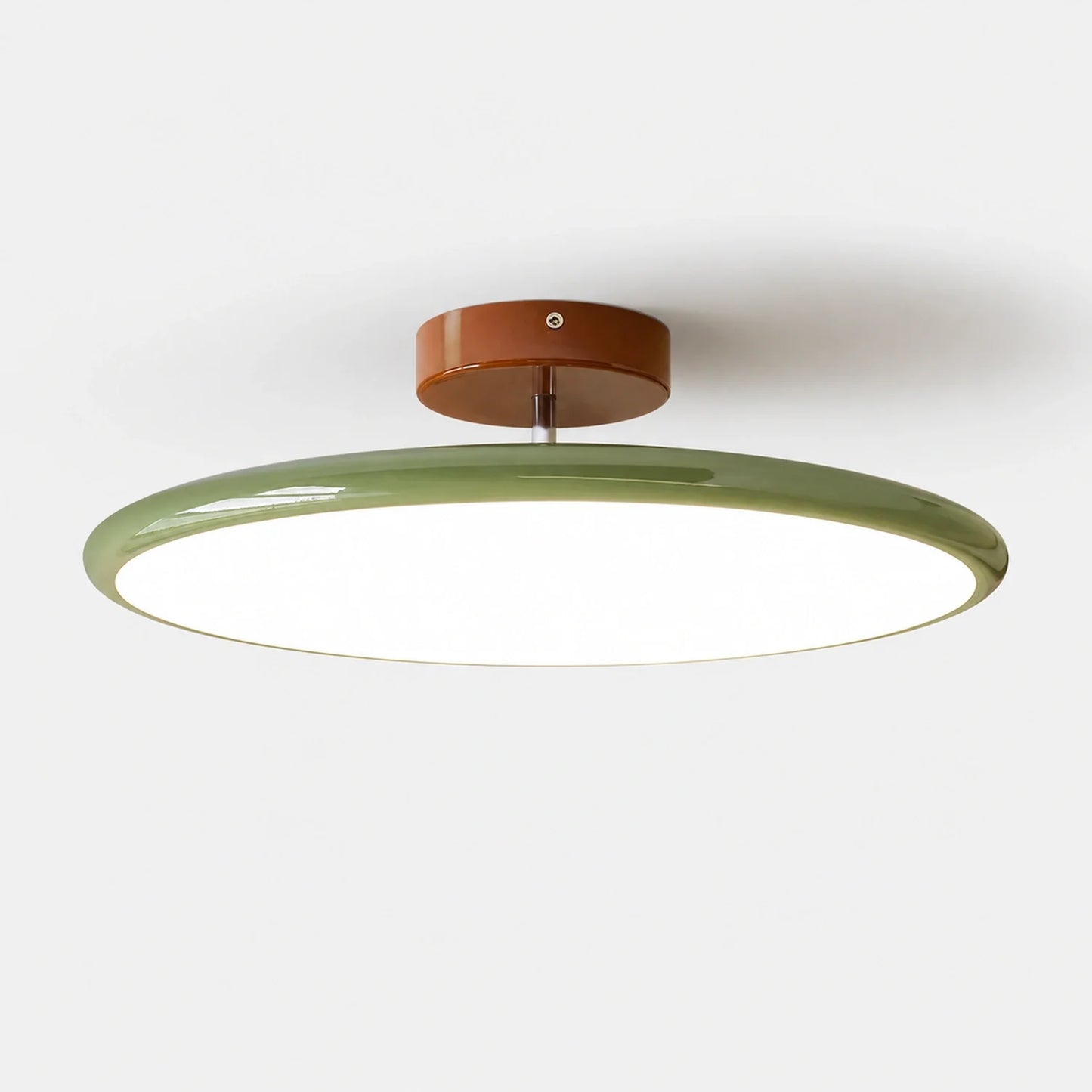 Modern Dimmable LED Ceiling Light