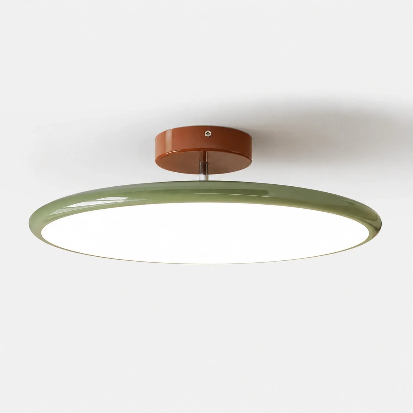 Modern Dimmable LED Ceiling Light