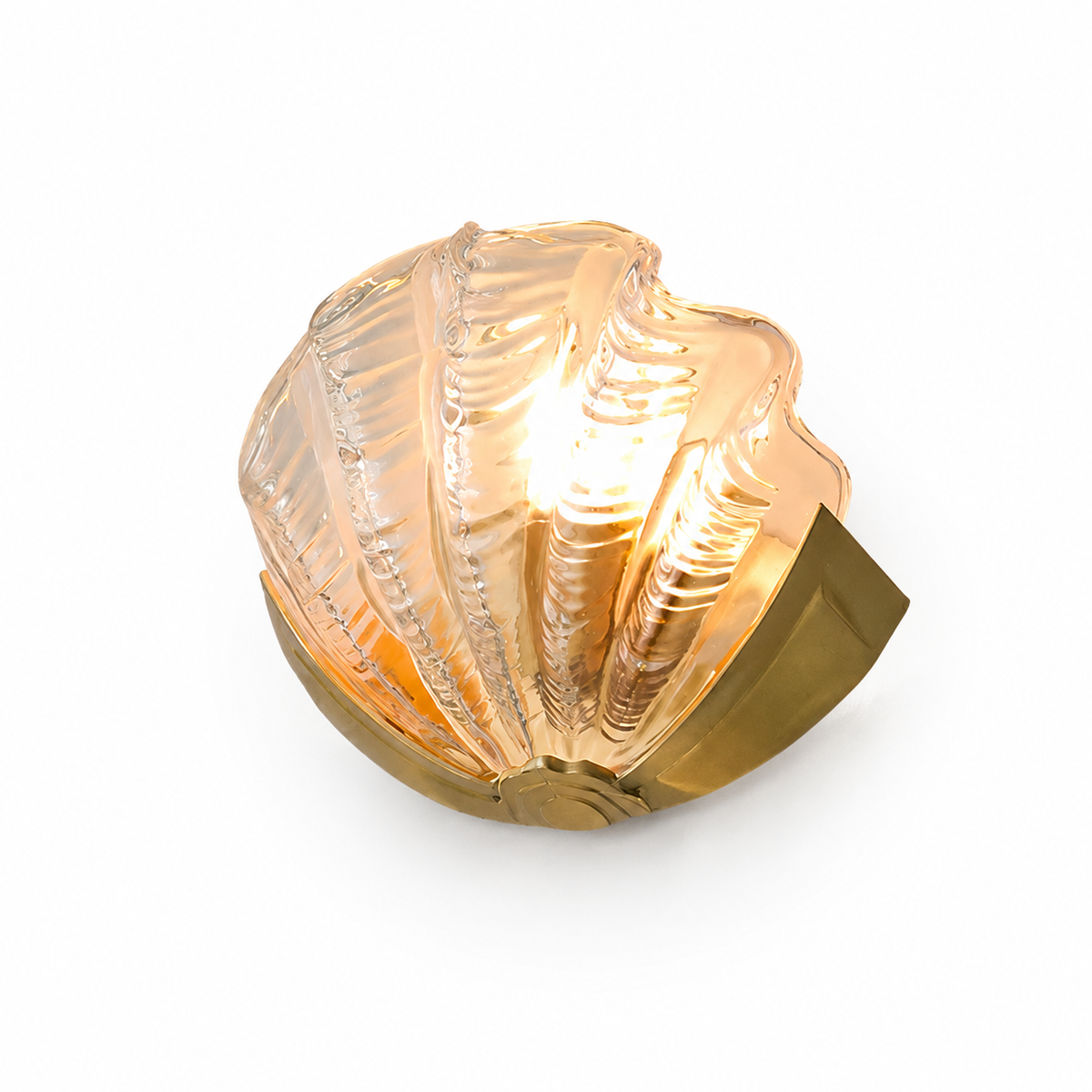 Seashell glass wall sconce with brass mount