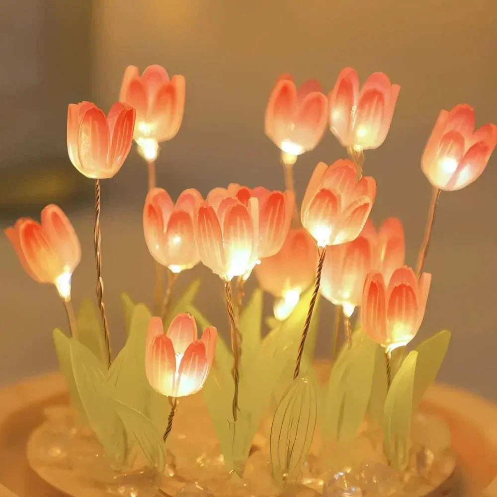 Close-up of illuminated pink tulip flowers