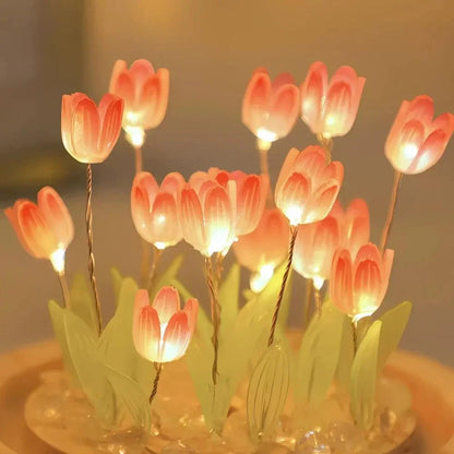 Close-up of illuminated pink tulip flowers