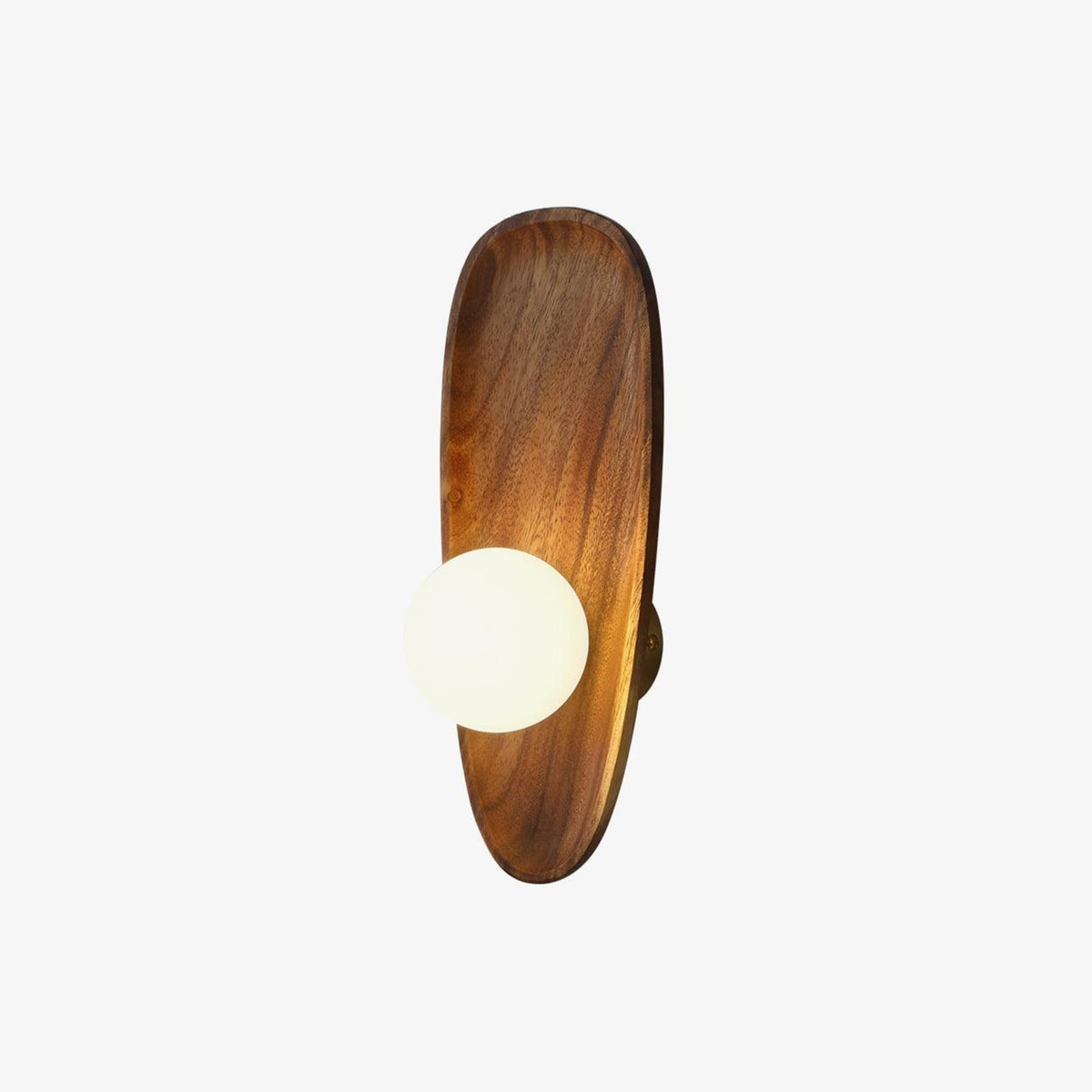 Walnut Wall Light with Glass Globe and Oval Backplate — product view 15