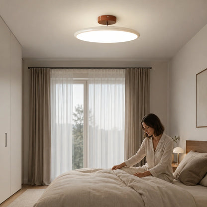 Modern Dimmable LED Ceiling Light