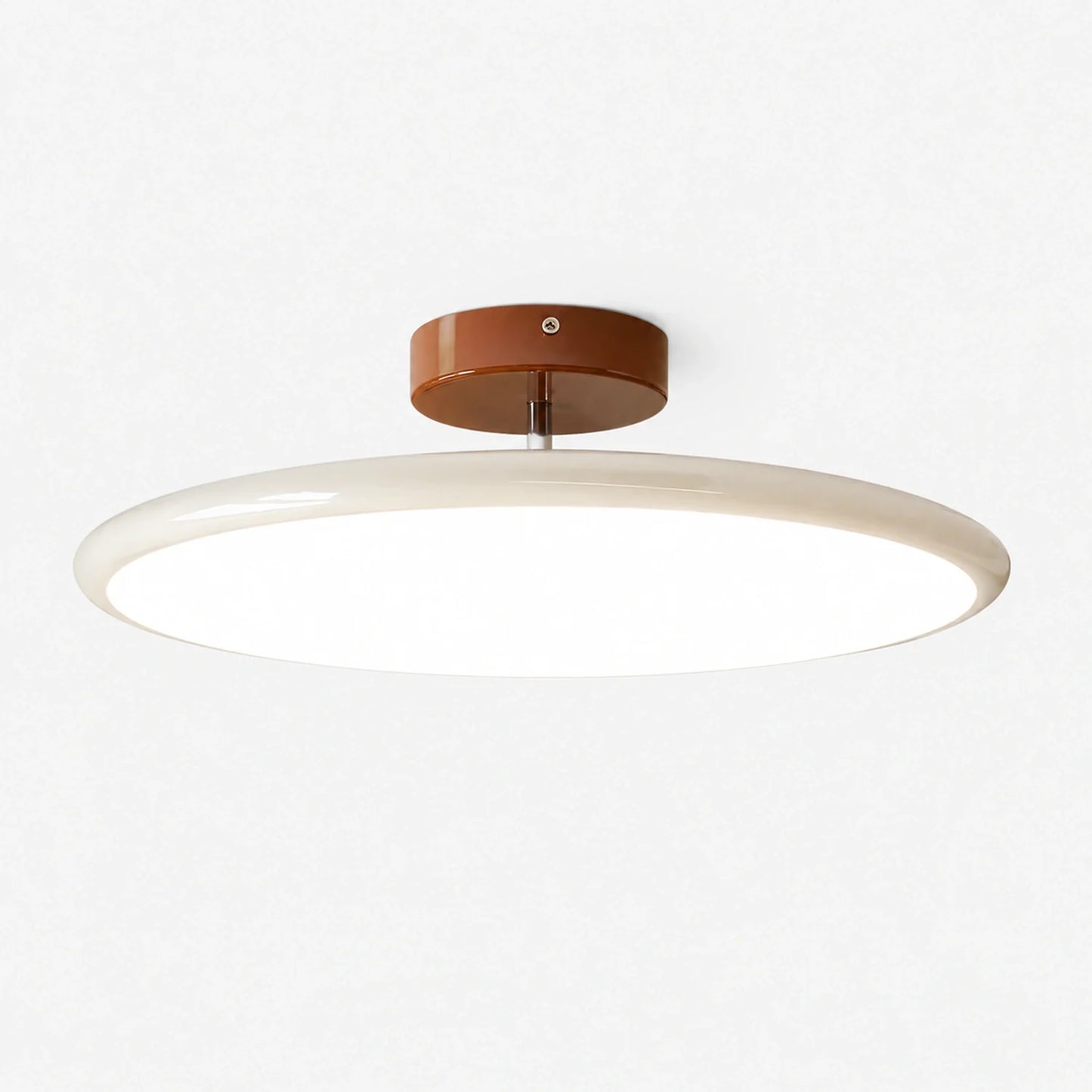 Modern Dimmable LED Ceiling Light