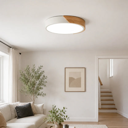 Modern Ultra-Thin LED Ceiling Light