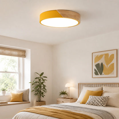Modern Ultra-Thin LED Ceiling Light