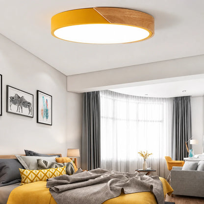 Modern Ultra-Thin LED Ceiling Light